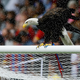 Illustration for article titled Eagle-Punching Menace Arrested In London Suburb